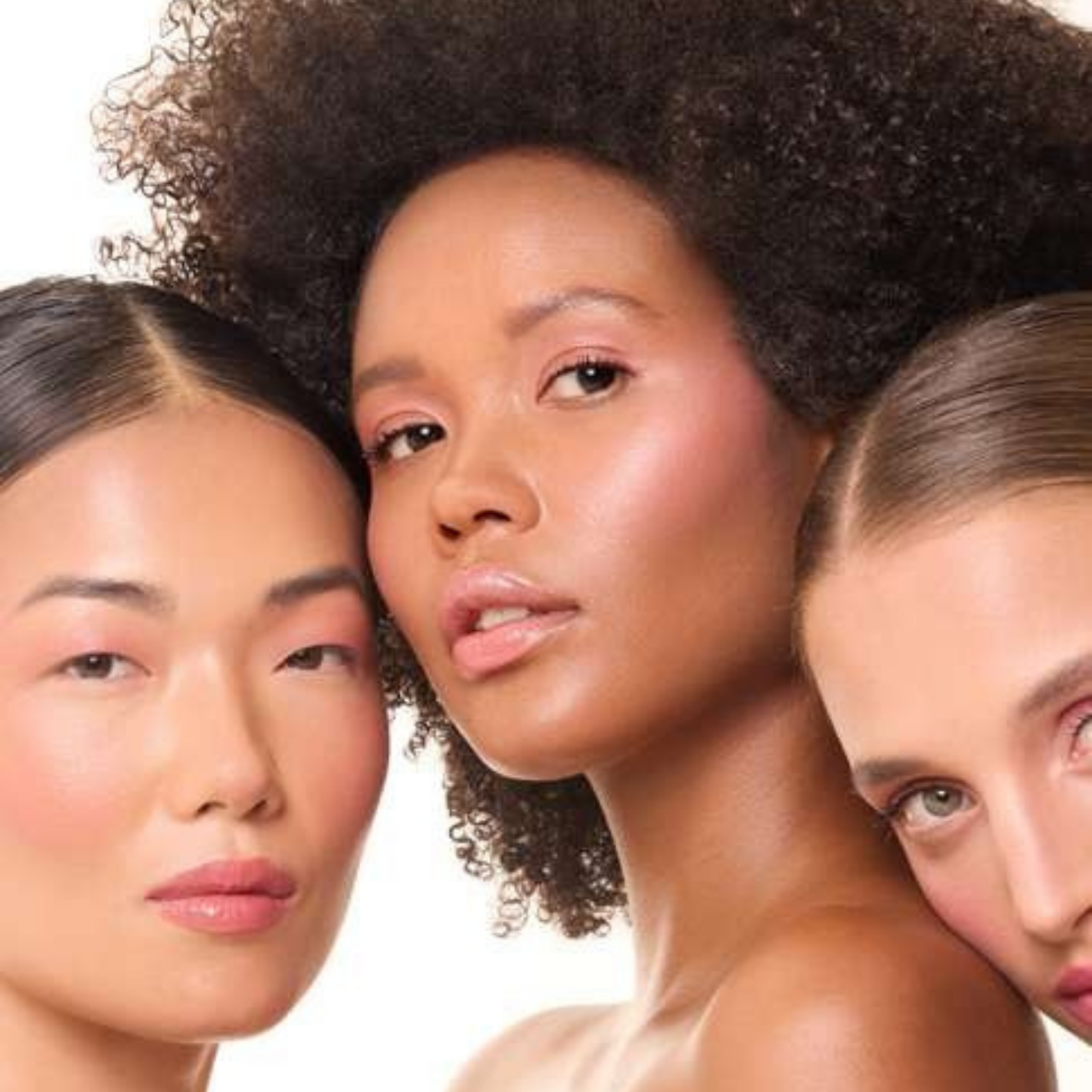 Teint Sacha Beauty Cosmetics