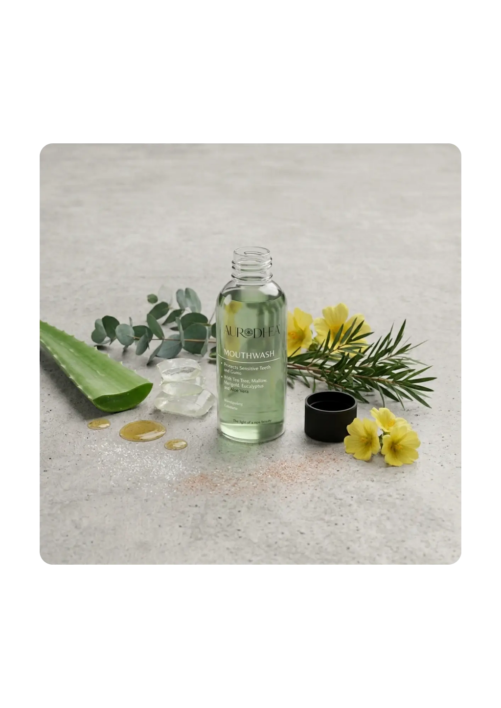 Bain de bouche à l’Aloe Vera Sacha Beauty Cosmetics