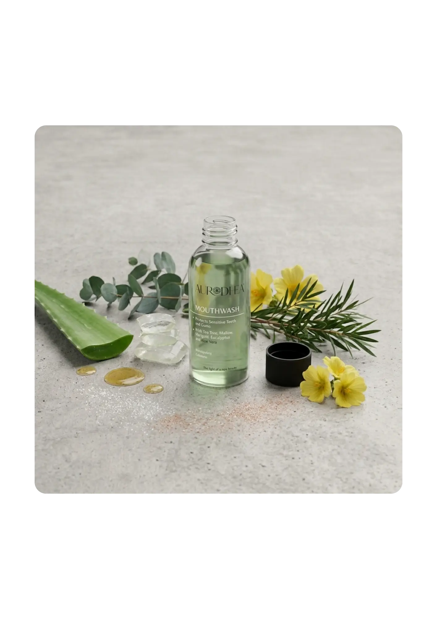 Bain de bouche à l’Aloe Vera Sacha Beauty Cosmetics